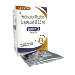 BUDINIX