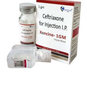 XONCINE 1GM